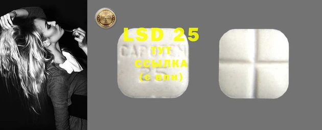 MDMA Гвардейск