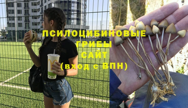 МДМА Пестово